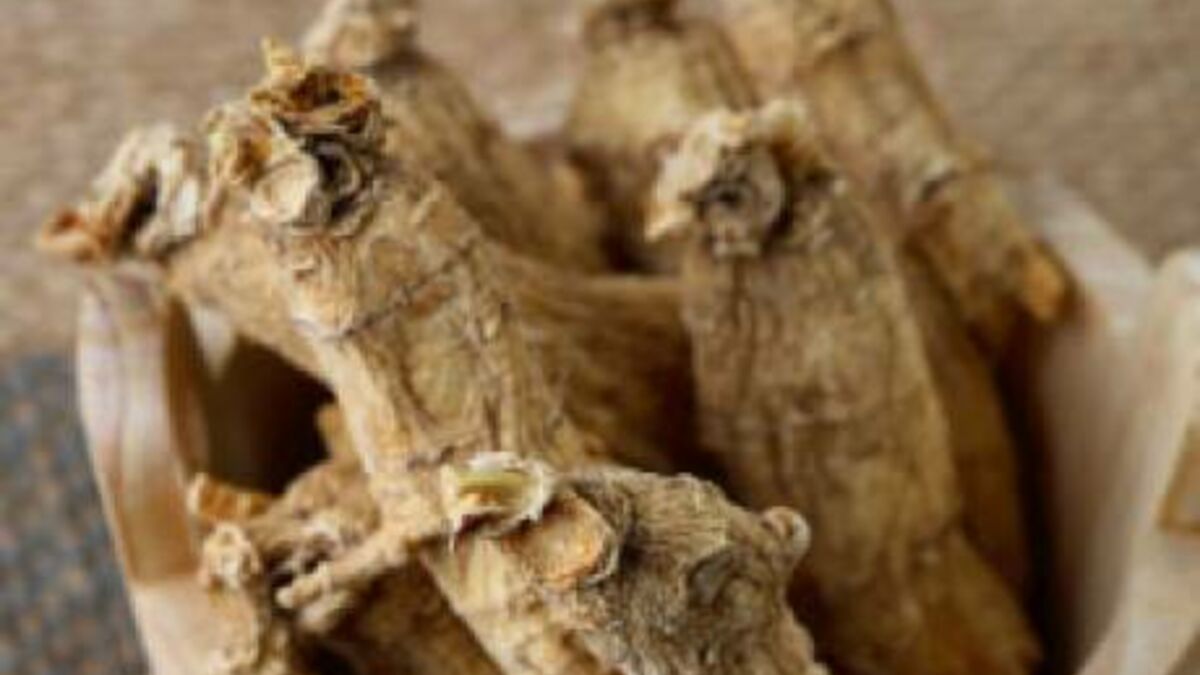 États Unis un homme est arrêté pour avoir vendu illégalement du ginseng