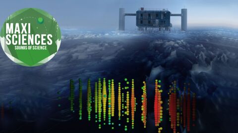 Inde Cryptomonnaie Python Les Actus Sciences Que Vous Devez