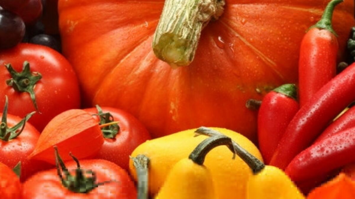 Calendrier Des Fruits Et L Gumes De Saison Automne