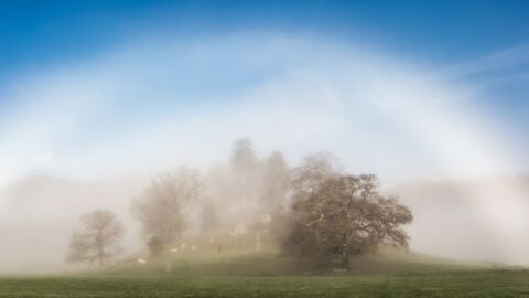 Phénomène météo extraordinaire : l'arc-en-ciel de feu