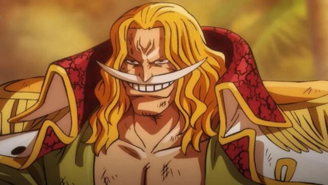 One Piece Barbe Blanche