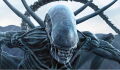 Alien : une nouvelle série en préparation pour la licence culte