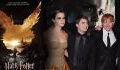 Harry Potter film : un nouveau long-métrage avec le casting original déjà tourné ?