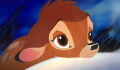 "Les parents sont plus sensibles", Disney censure une scène culte de Bambi pour le live-action