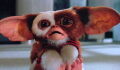 Gremlins 3 : date de sortie, trailer, scénario… tout savoir
