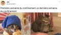Confinement x Twitter : les meilleures réactions des réseaux sociaux face au confinement