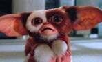 Gremlins 3 : date de sortie, trailer, scénario… tout savoir