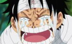 L'anime de One Piece va prendre la plus longue pause de son histoire, les fans sont dégoûtés