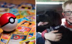 Pokémon : un enfant vend sa collection de cartes pour sauver son chien