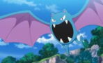 Voici les 10 Pokémon chauve-souris inscrits dans le Pokédex