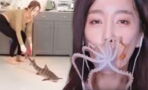 La youtubeuse Ssoyoung torture et tue des animaux depuis des mois et n'est pas bannie