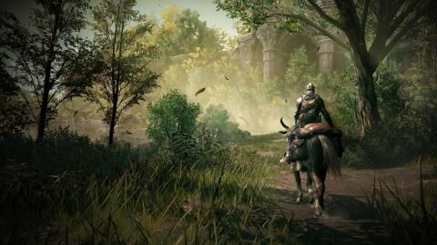 Elden Ring : plus de 60 % des joueurs ne pourront pas jouer au DLC