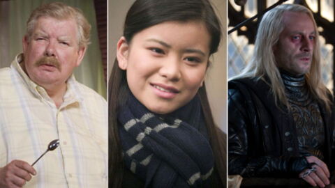 Qui sont les pires personnages dans la saga Harry Potter ?