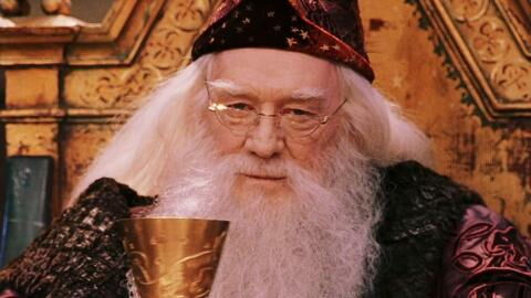 Découvrez les acteurs qui ont incarné Albus Dumbledore au cinéma