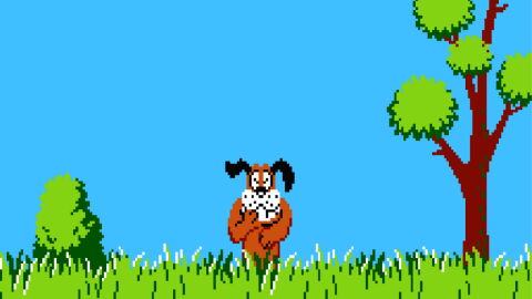 Duck Hunt