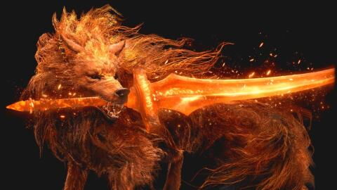 Elden Ring : 4 mois après sa sortie, ce joueur fait une étonnante découverte