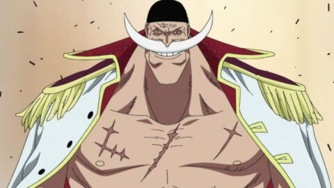 One Piece : pourquoi Barbe Blanche porte ce nom alors qu'il n'a pas de barbe ?