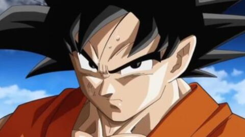 Dragon Ball : la liste des 21 Saiyans du manga