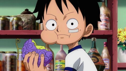 One Piece : les 10 fruits du démon les plus puissants, Luffy n'a pas le plus redoutable !