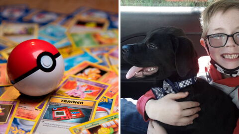 Pokémon : un enfant vend sa collection de cartes pour sauver son chien