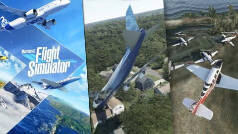 Flight Simulator : best of des moments les plus drôles par les joueurs