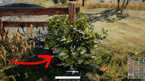 Playerunknown's Battlegrounds : une technique toute bête pour survivre plus longtemps