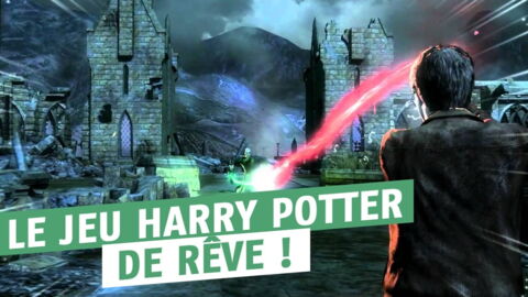 Harry Potter : à quoi pourrait ressembler le jeu idéal