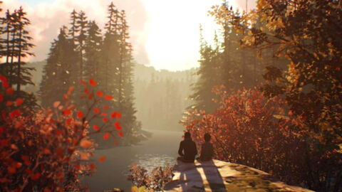 Life is Strange 2 : la première bande annonce officielle se dévoile à la Gamescom