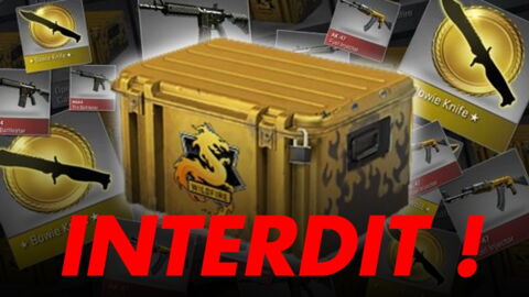 Lootbox : les Pays Bas sont les premiers à prendre action contre les lootboxes en Europe