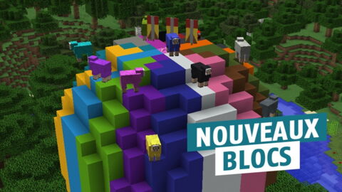 Il Y A De Nouveaux Blocs Dans Minecraft Et Tout Le Monde Les Adore