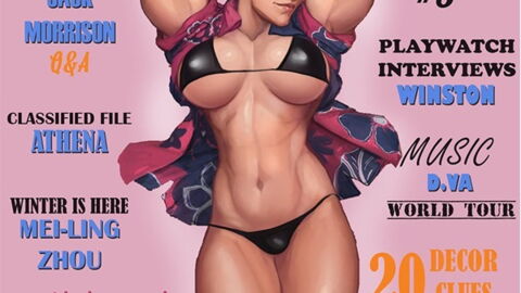 Overwatch : les personnages du jeu façon Playboy !