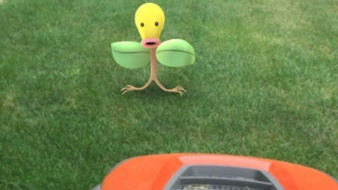 Pokémon Go : ils apparaissent dans des endroits surprenants