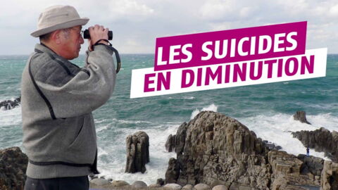 Pokémon Go : l'application de Niantic réduit le nombre de suicides au Japon