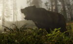 Red Dead Redemption 2 : attention aux ours si vous ne voulez pas revivre la fameuse scène du film The Revenant