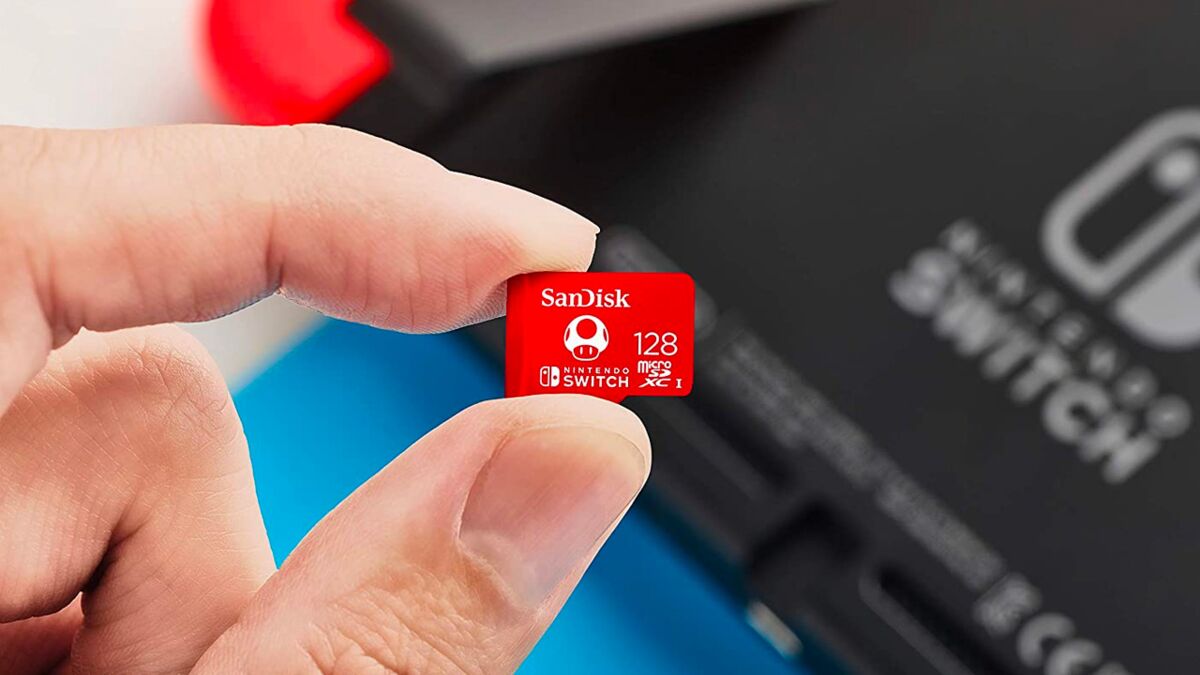 Étui de carte de jeu pour Nintendo Switch & Switch Oled Carte de jeu ou  cartes mémoire Micro SD, stockage de carte mémoire de jeu portable Switch  avec 24 emplacements pour cartes