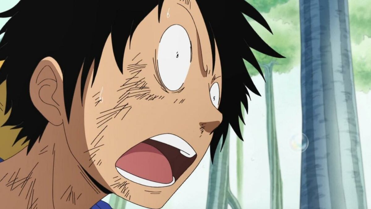 Quel âge a Luffy dans One Piece ?