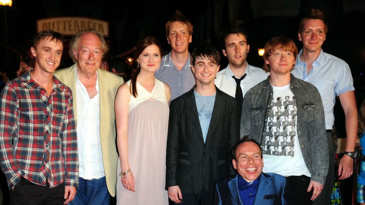 Qui Joue Dobby Dans Harry Potter Harry Potter : un acteur phare de la saga raconte le moment où il a appris  la mort de son personnage