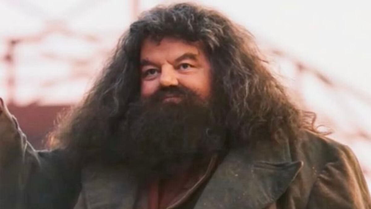 L'acteur Robbie Coltrane, Connu Pour Son Rôle De Hagrid Dans Harry ...