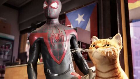 Spider-Man : sur PS5, un nouveau héros sera introduit dans le jeu, Spider-cat