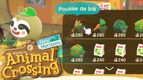 Animal Crossing 'New Horizons' : Légumes, comment en avoir