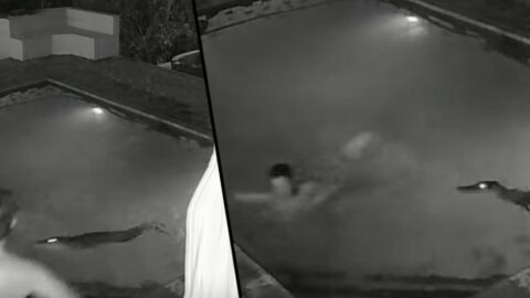 This Couple Were Having A Romantic Late Night Dip... Until They Were Interrupted By Something Terrifying