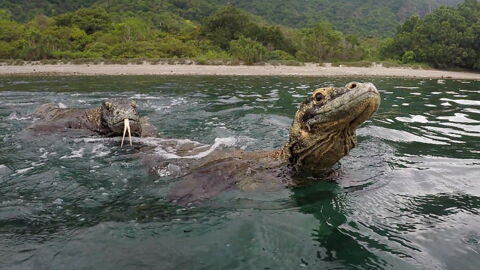 He Was Fishing When A Terrifying Creature Leapt Out Of The Water And Attacked Him