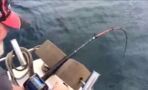 This Fisherman Got the Fright of His Life When He Reeled In His Catch