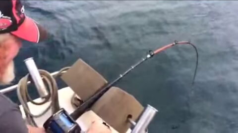 This Fisherman Got the Fright of His Life When He Reeled In His Catch