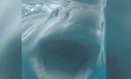 They Risked Death To Photograph This Great White Shark, And The Results Were Well Worth It