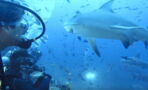 This Group Of Divers Had A Narrow Escape When They Were Surrounded By Sharks