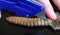 He Cut Open the Tail of a Rattlesnake to See What Was Inside