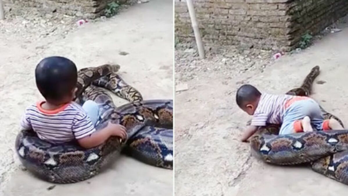 People are outraged at this video showing a toddler playing with an ...