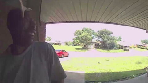 He Rings His Friend’s Doorbell… Only To Be Savagely Attacked By A Snake