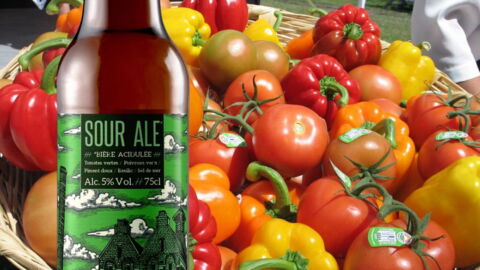 You Can Now Buy Spicy Tomato Flavoured Beer And It Actually Sounds Delicious